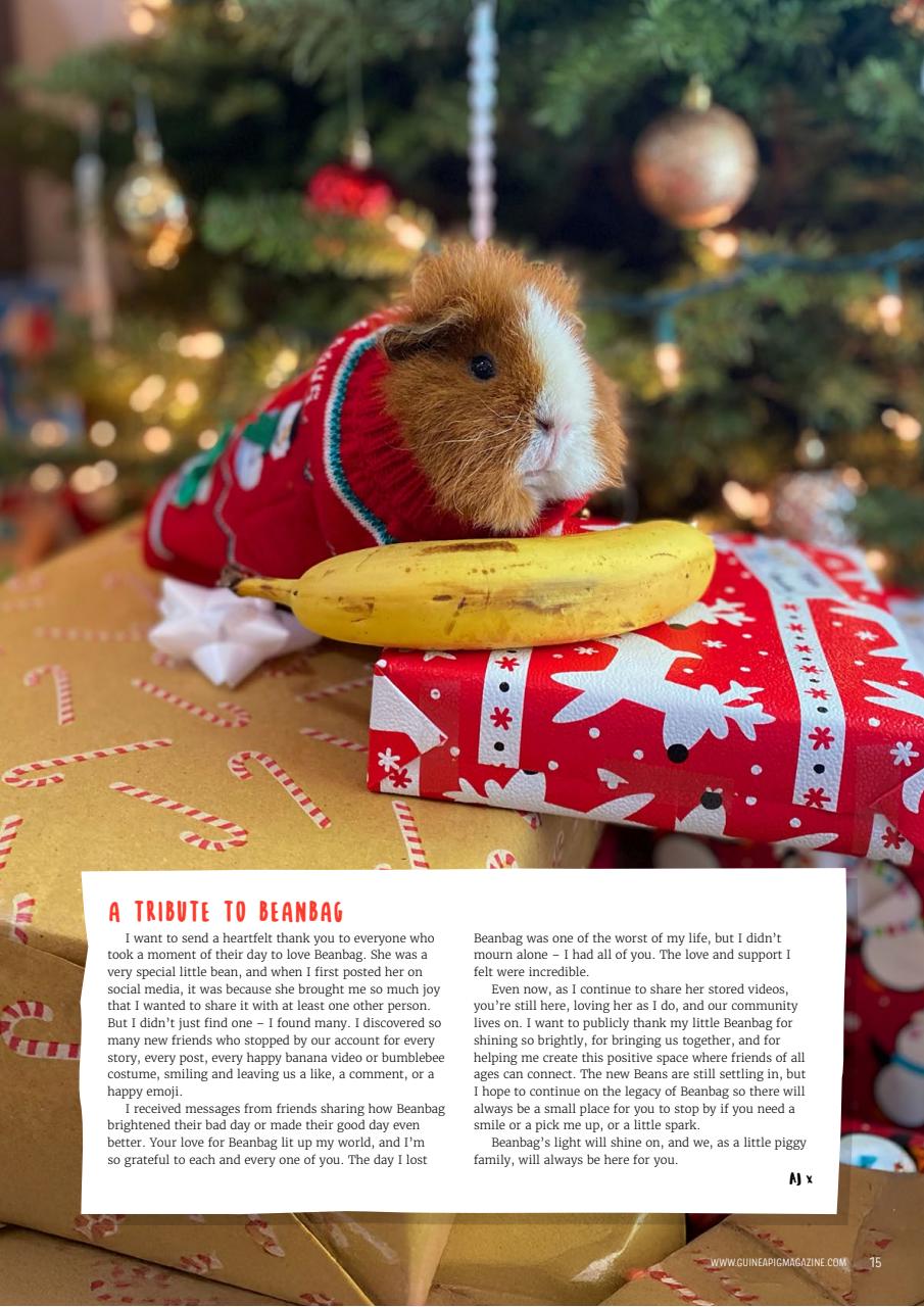 Guinea Pig Magazine Preview Pages