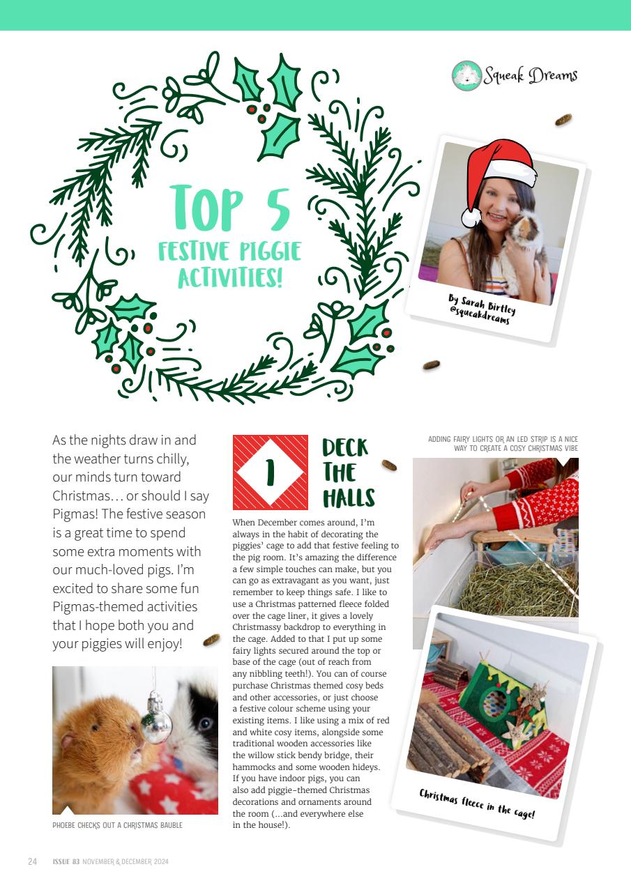 Guinea Pig Magazine Preview Pages