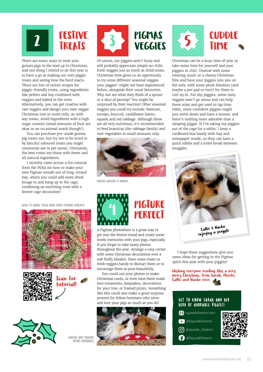 Guinea Pig Magazine Preview Pages
