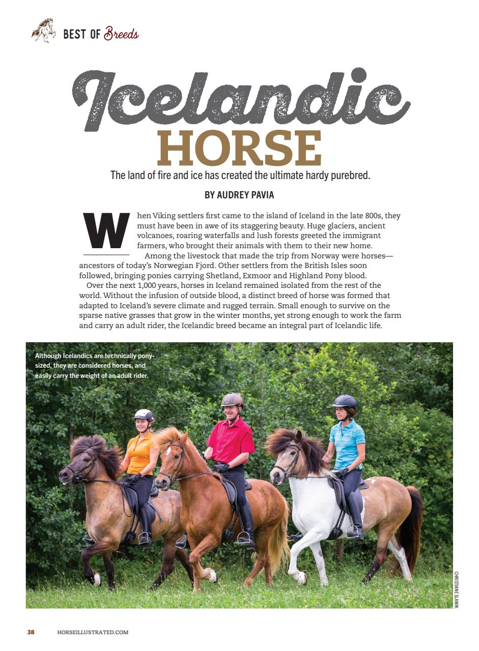 Horse Illustrated Magazine Preview Pages