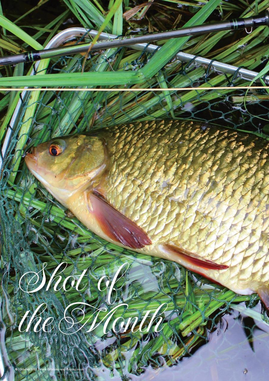 Fly Fishing and Fly Tying Preview Pages