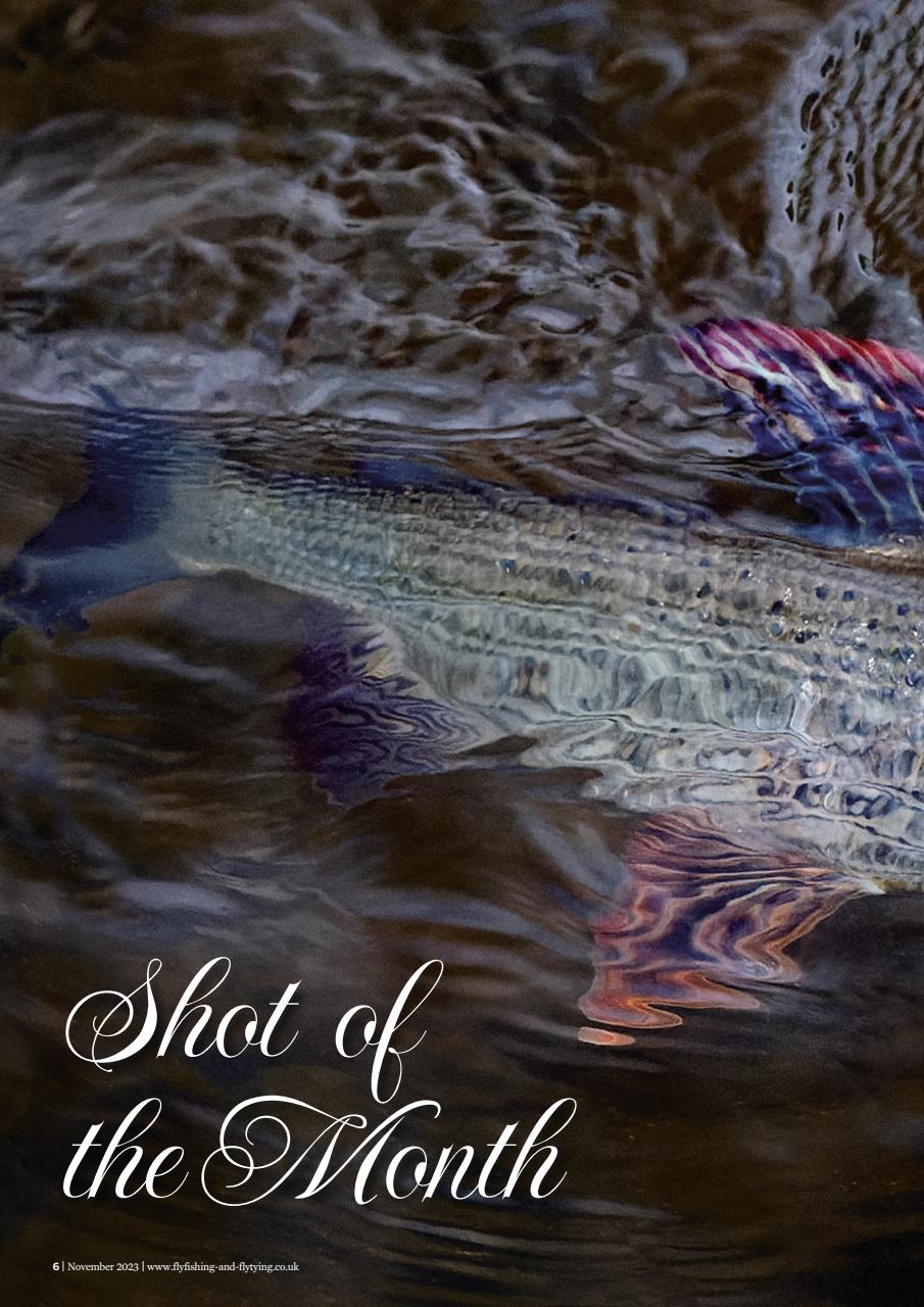 Fly Fishing and Fly Tying Preview Pages