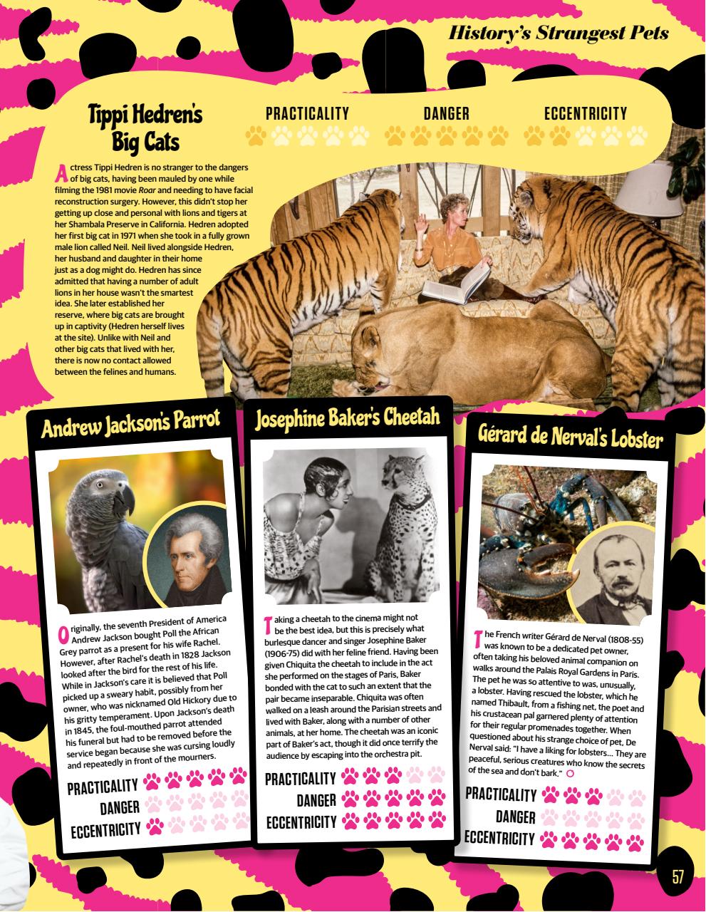 All About History Preview Pages