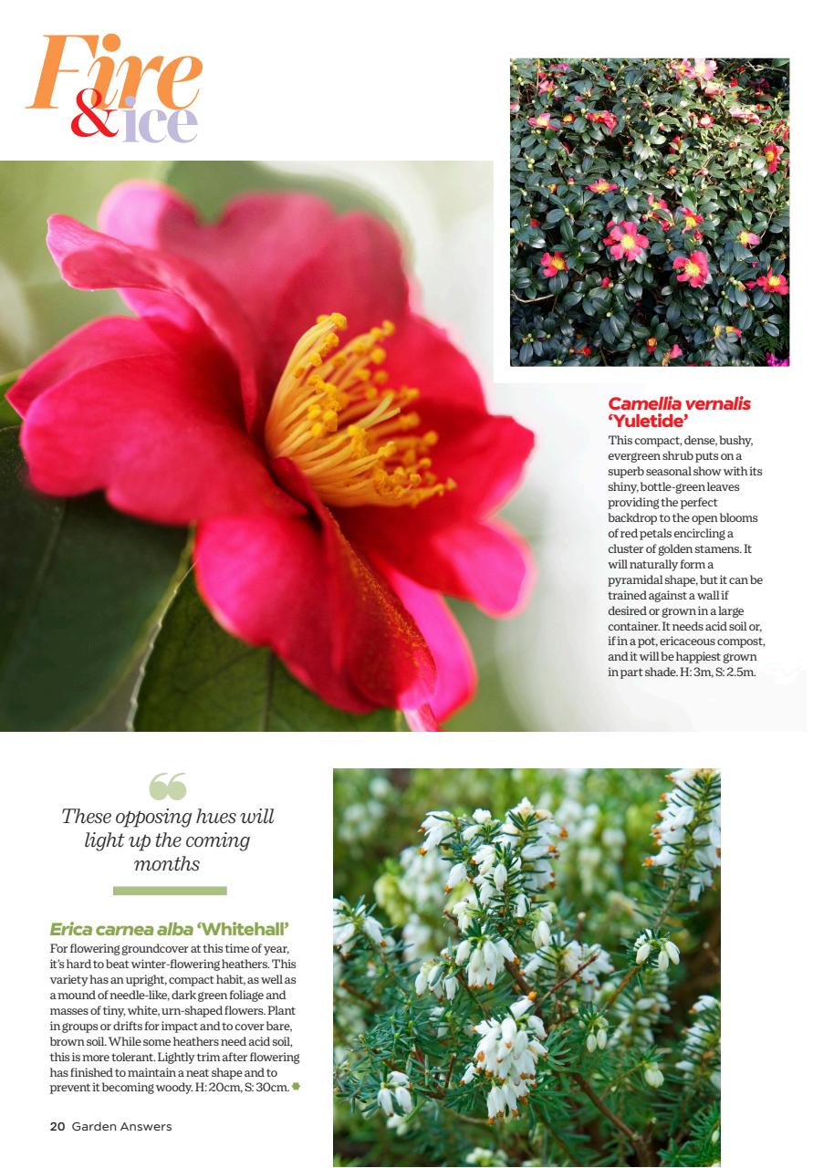 Garden Answers Preview Pages