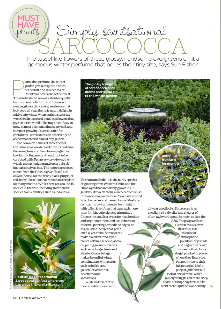 Garden Answers Preview Pages