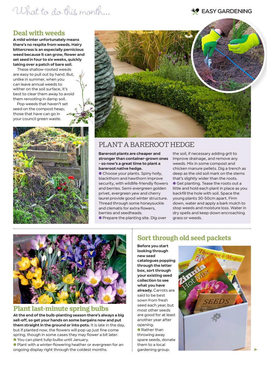 Garden Answers Preview Pages