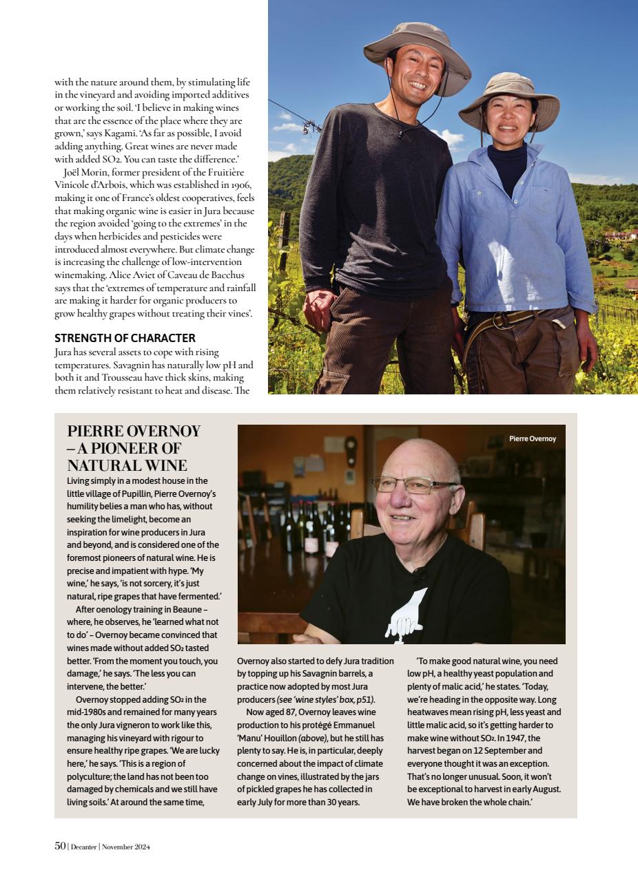 Decanter Preview Pages