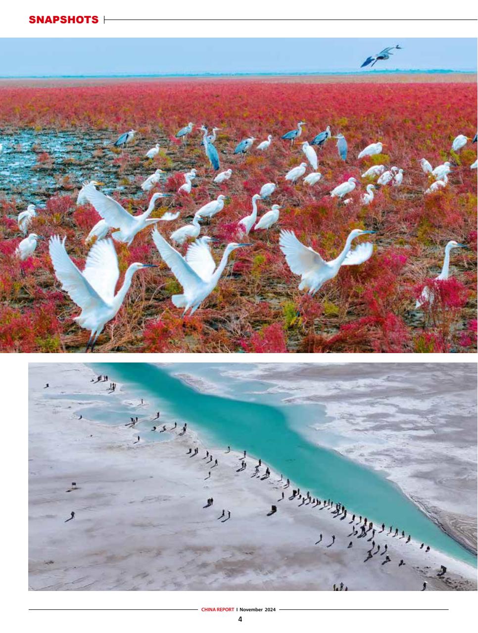 China Report Preview Pages