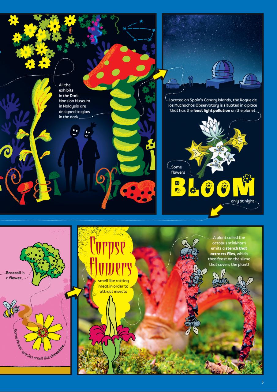 What on Earth! Magazine Preview Pages