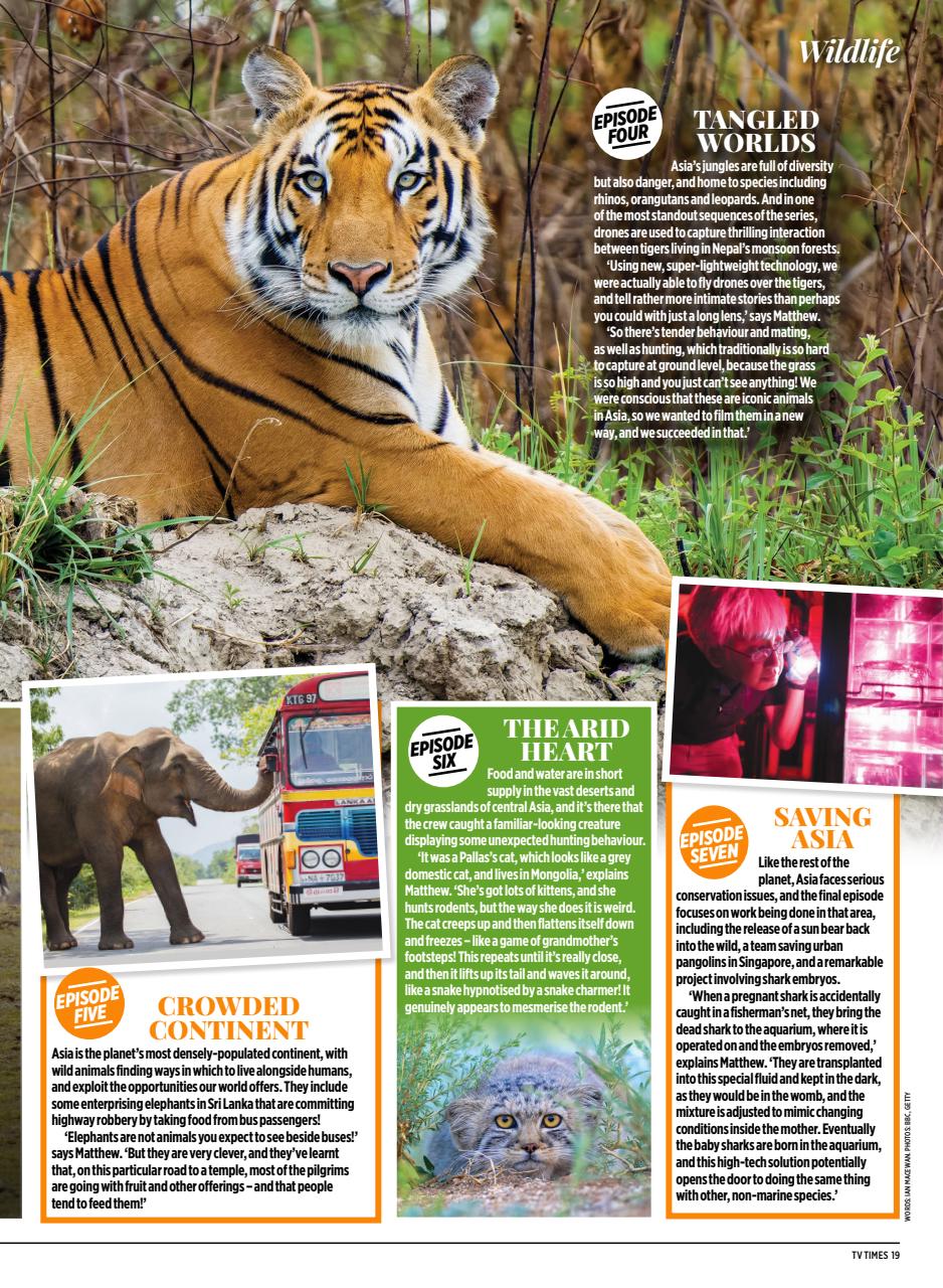 TV Times Preview Pages