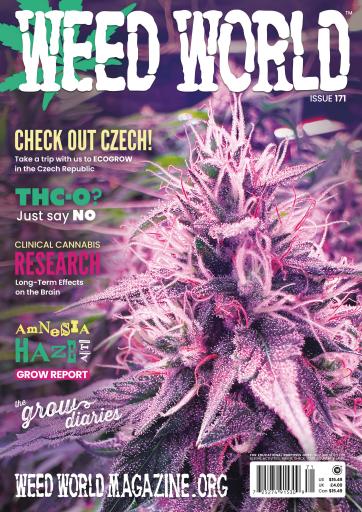 Weed World issue 