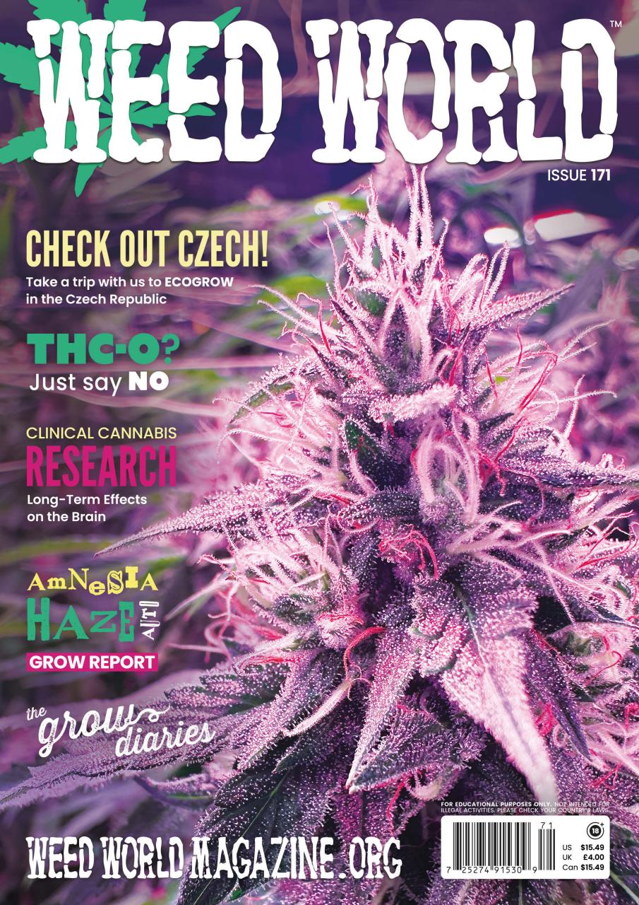 Weed World Preview Pages