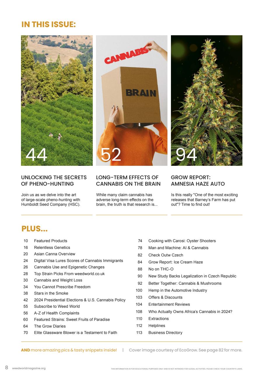 Weed World Preview Pages