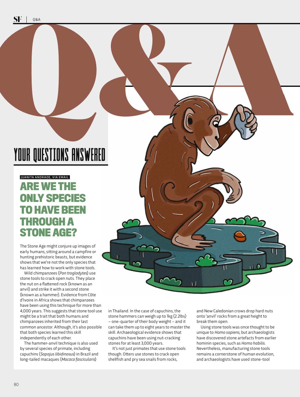 BBC Science Focus Magazine Preview Pages