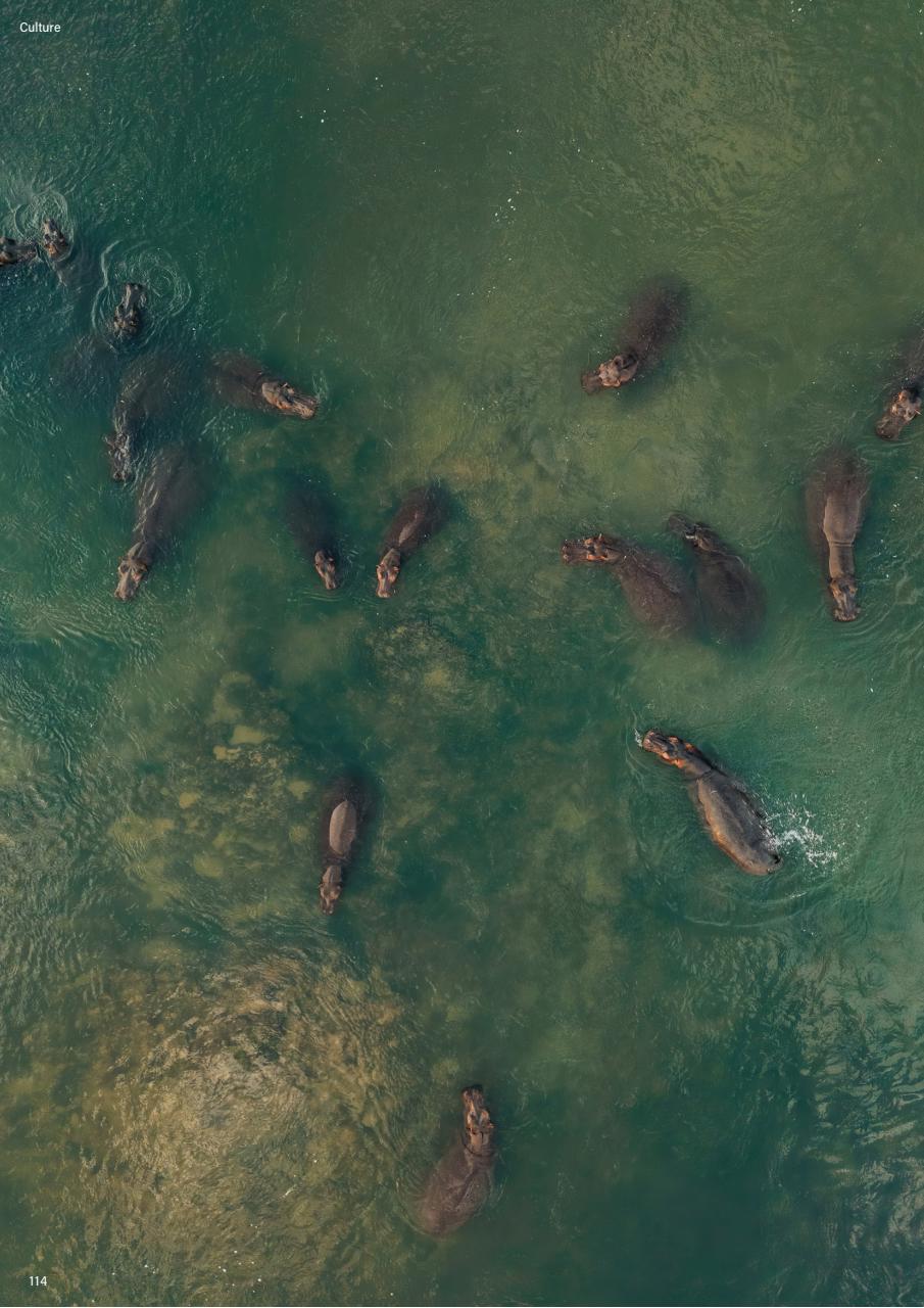 Fifty Four Magazine Preview Pages