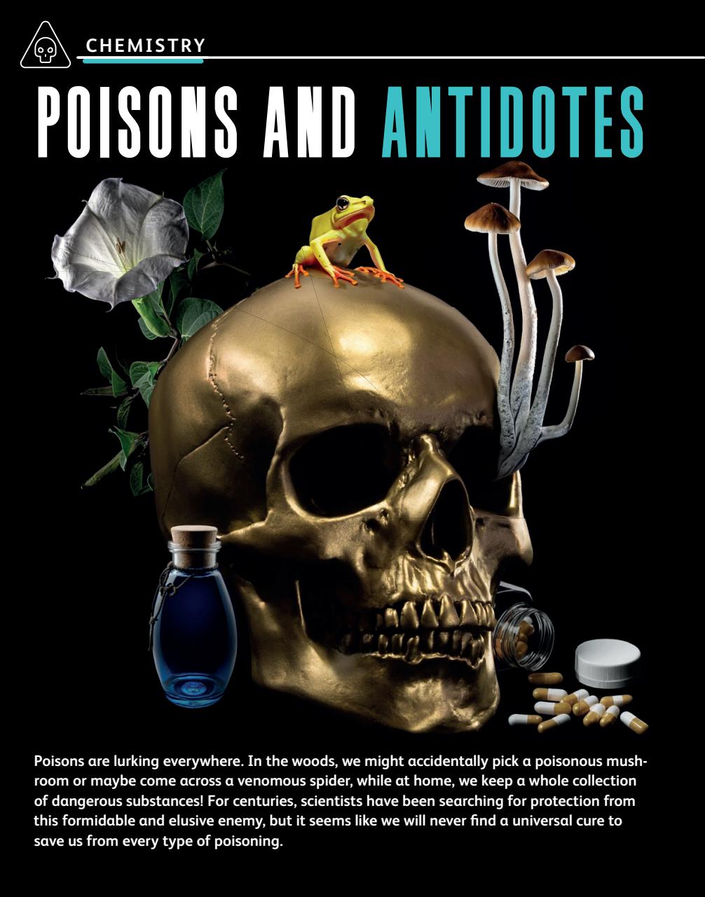 OYLA Magazine Preview Pages