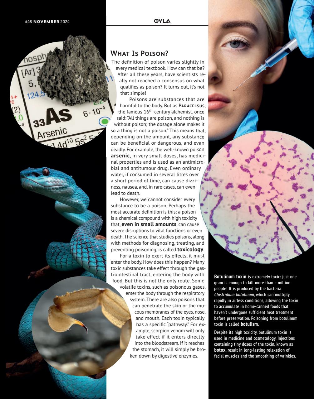 OYLA Magazine Preview Pages