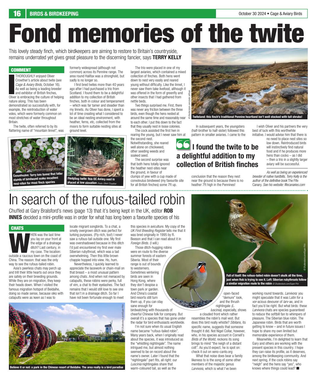 Cage & Aviary Birds Preview Pages