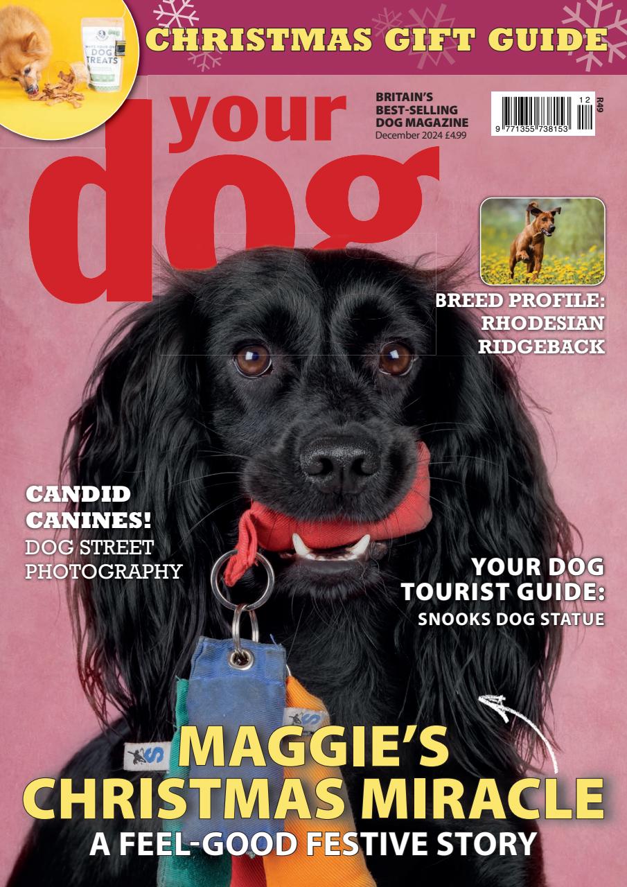 Your Dog Magazine Subscriptions and December 2024 Issue