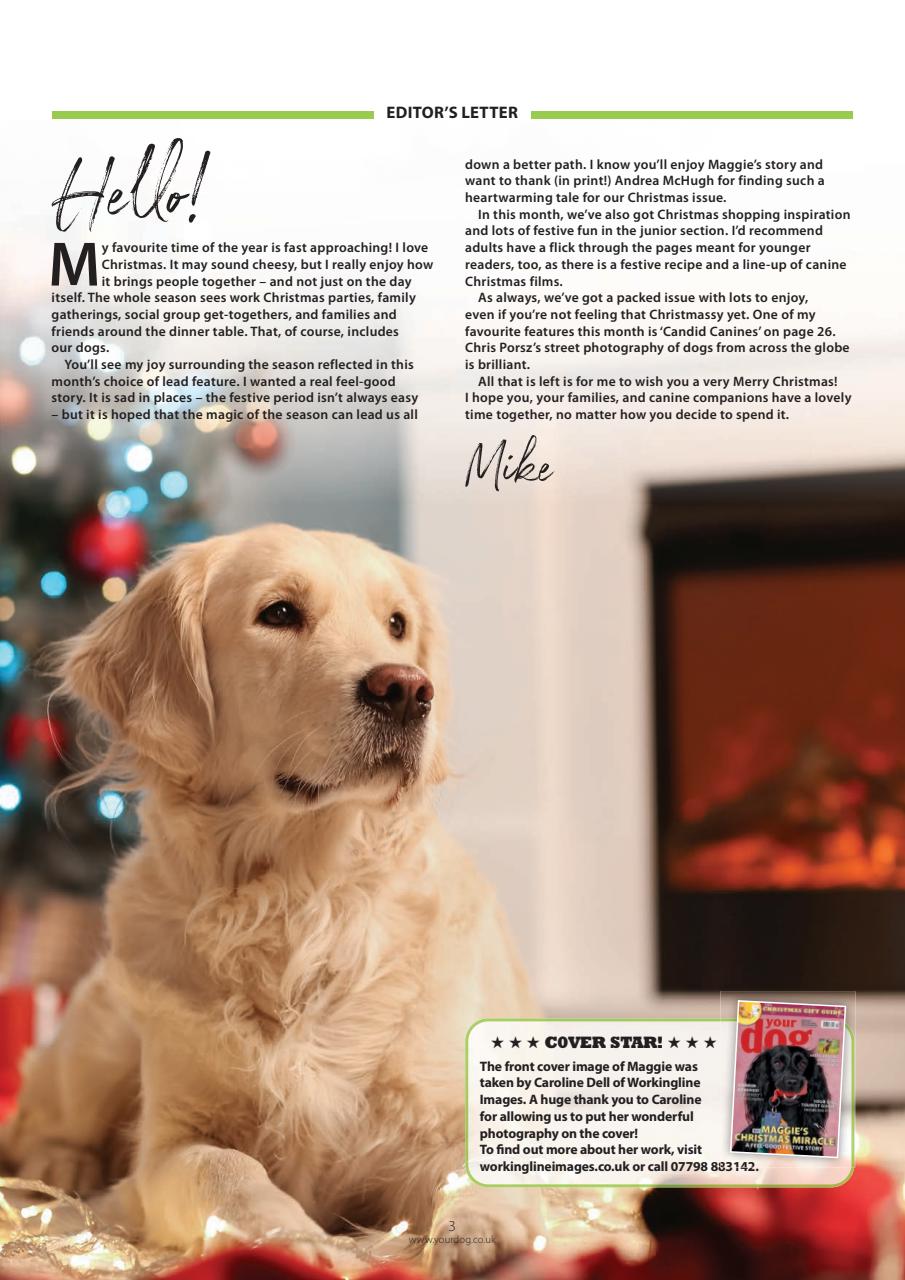 Your Dog Magazine Subscriptions and December 2024 Issue