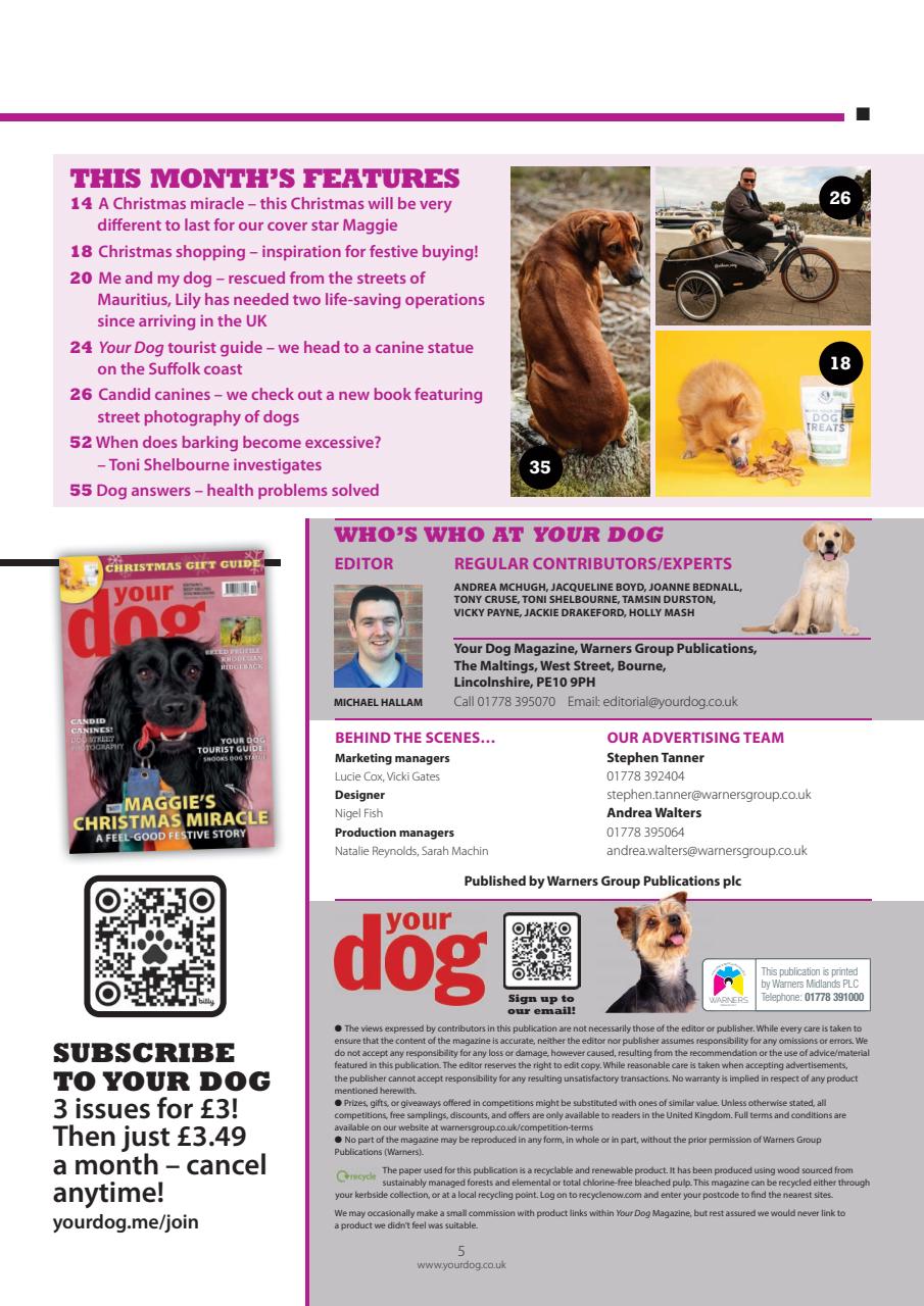 Your Dog Preview Pages