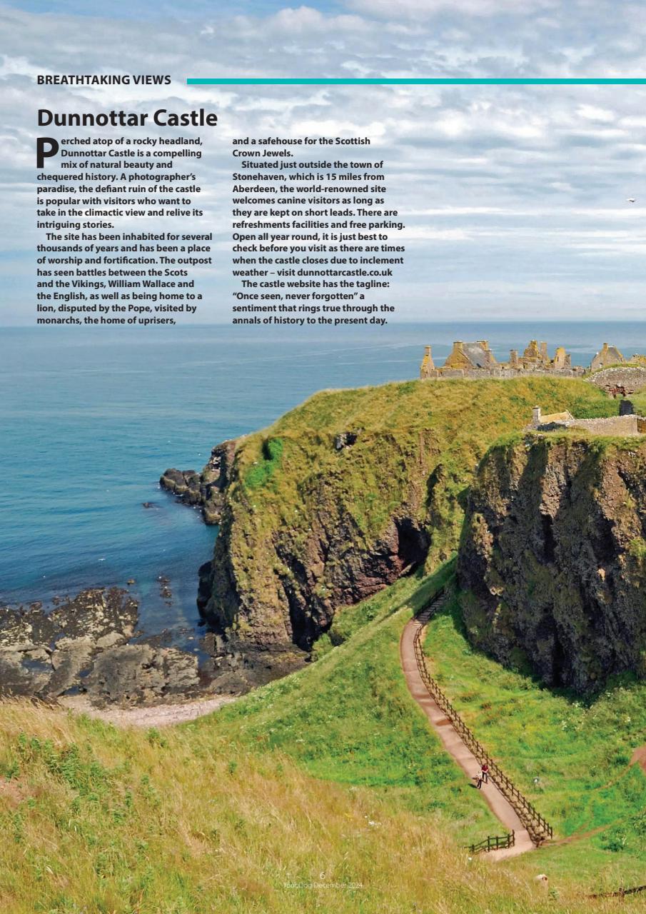 Your Dog Preview Pages