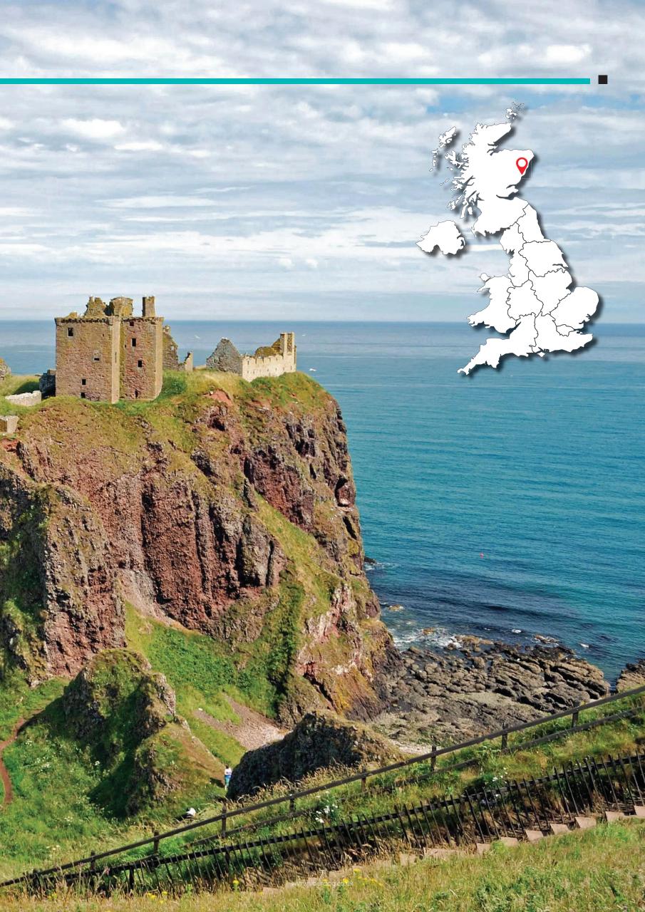 Your Dog Preview Pages