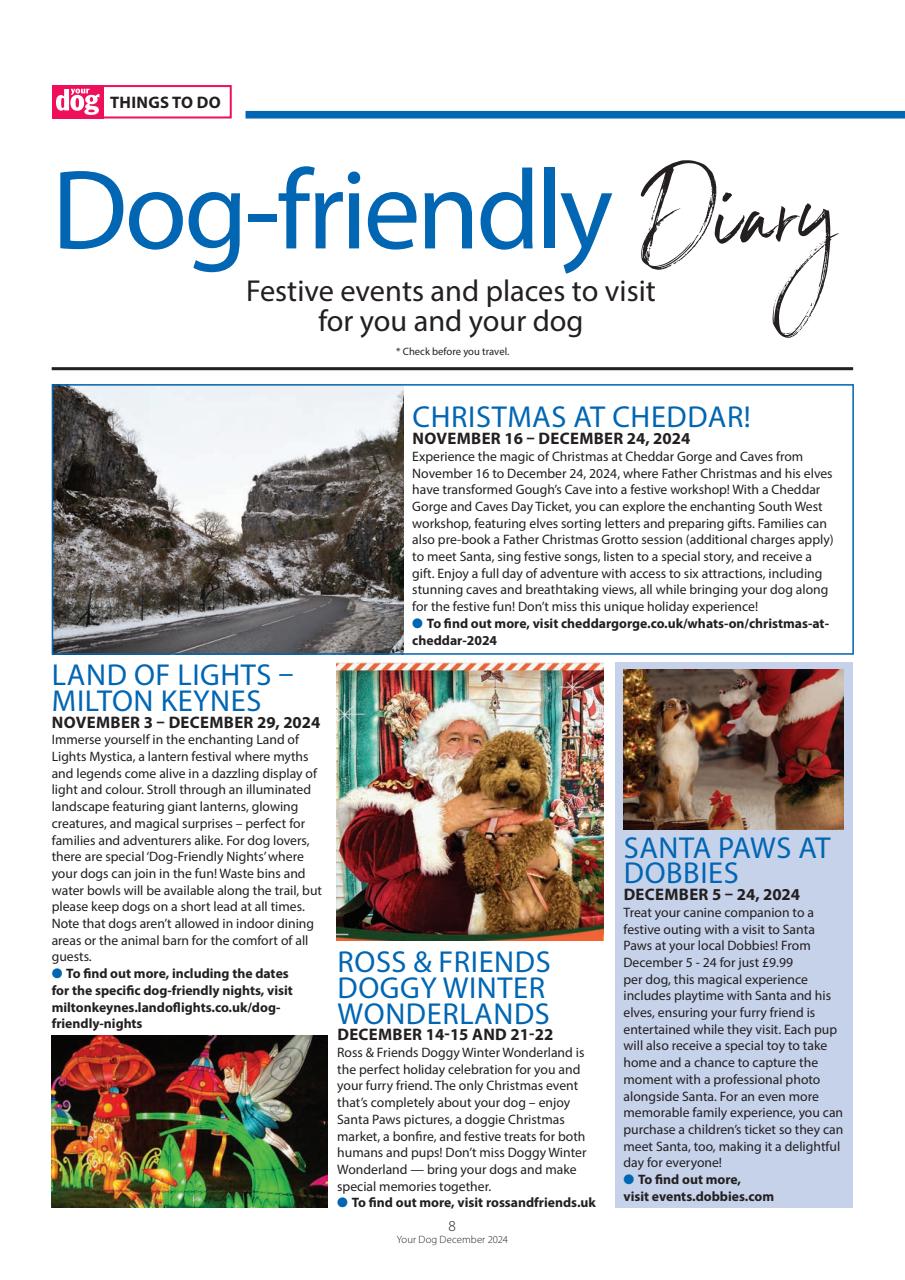 Your Dog Preview Pages