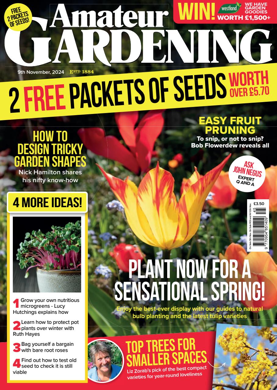Amateur Gardening Preview Pages