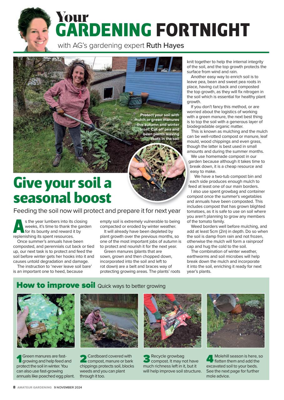 Amateur Gardening Preview Pages