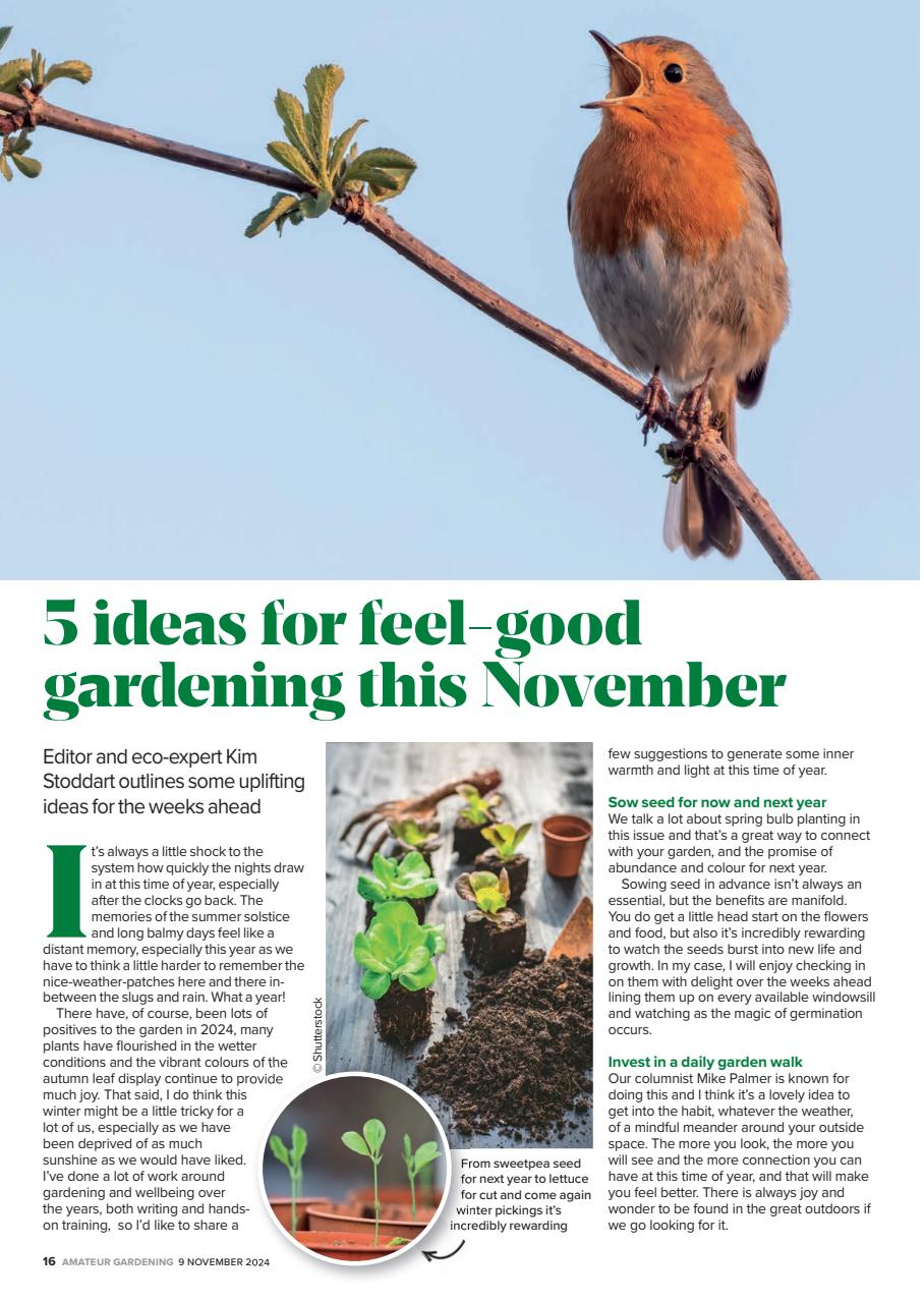 Amateur Gardening Preview Pages