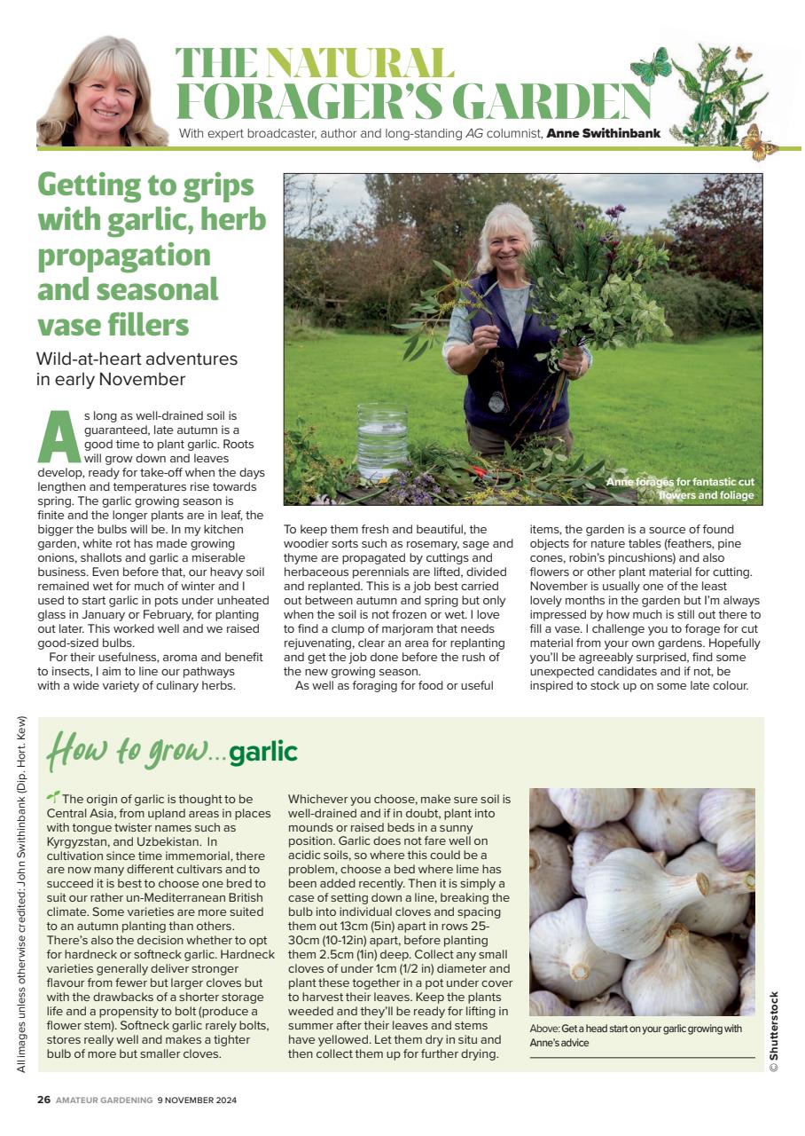 Amateur Gardening Preview Pages