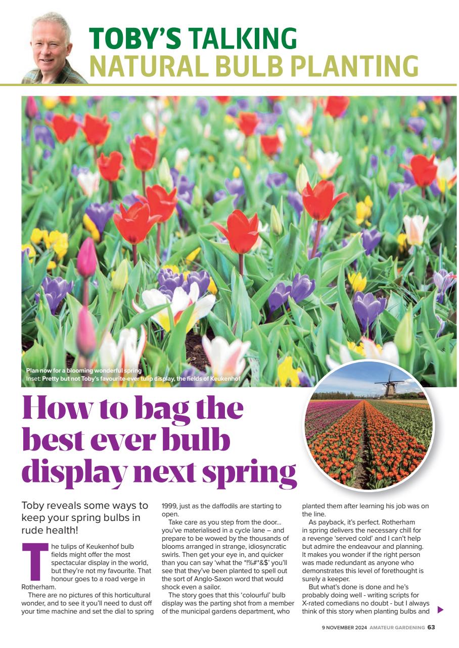 Amateur Gardening Preview Pages