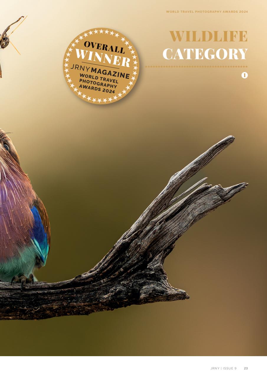 JRNY Travel Magazine Preview Pages