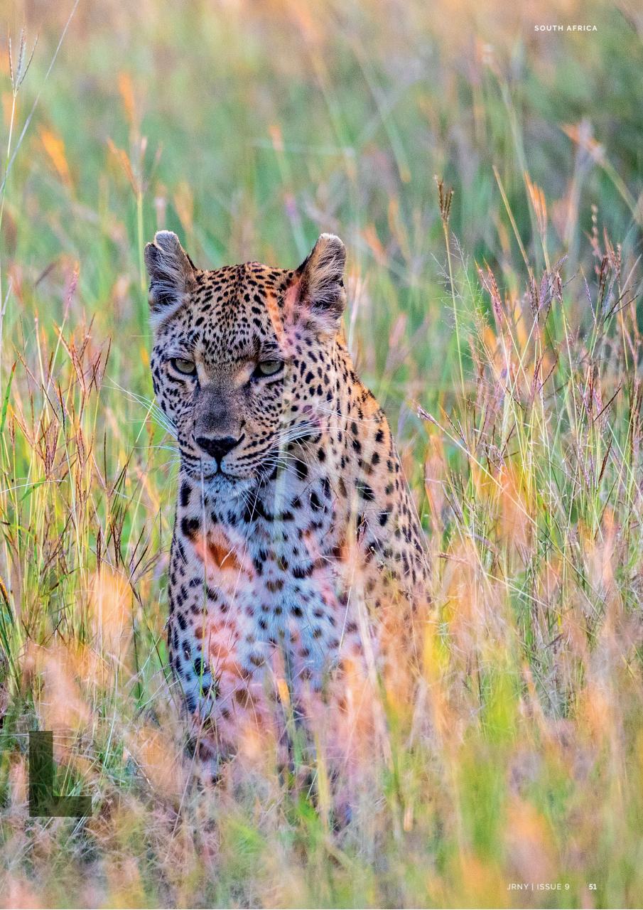 JRNY Travel Magazine Preview Pages