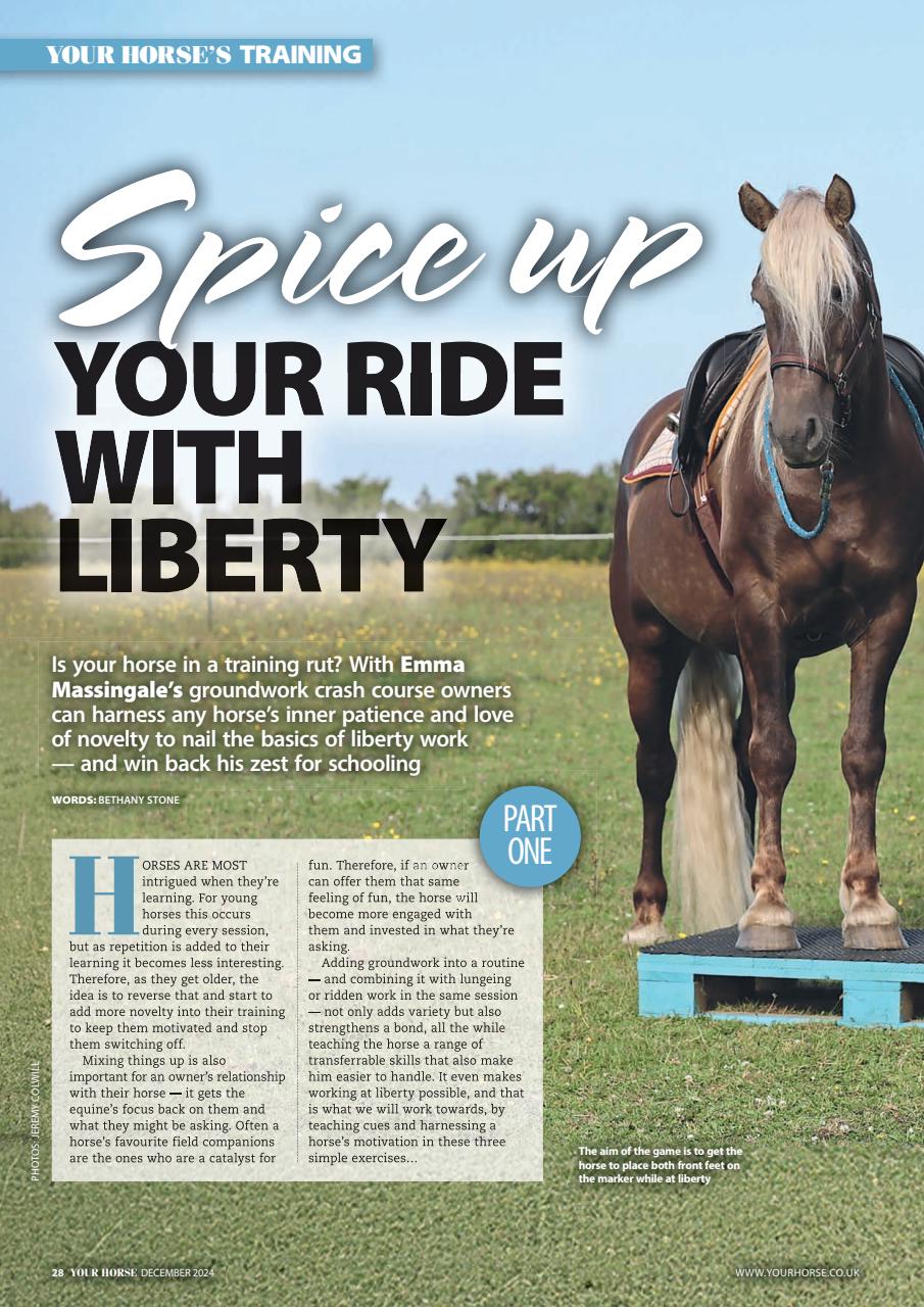 Your Horse Preview Pages