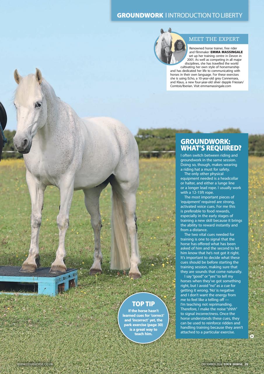 Your Horse Preview Pages