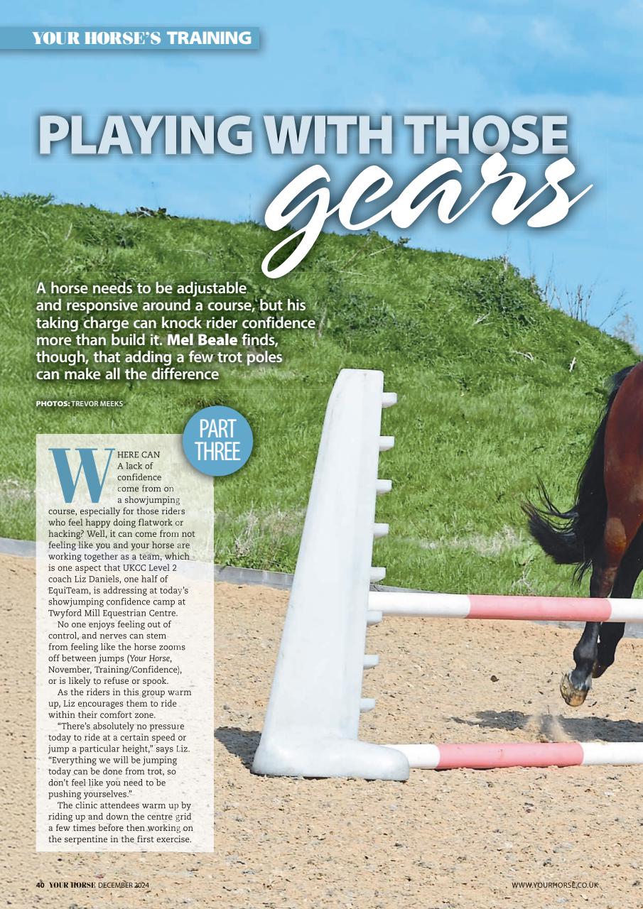 Your Horse Preview Pages