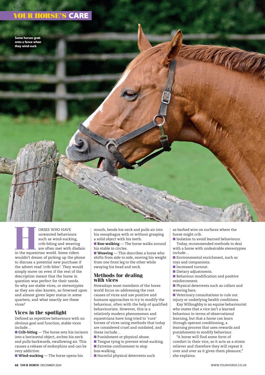 Your Horse Preview Pages