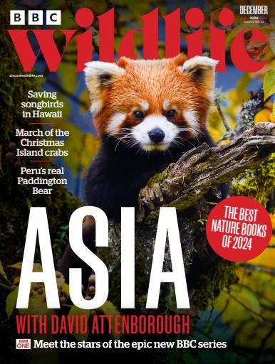BBC Wildlife Magazine issue 