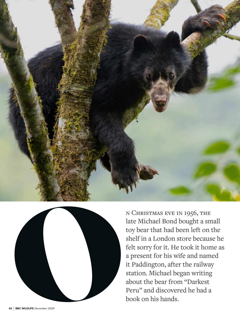 BBC Wildlife Magazine Preview Pages