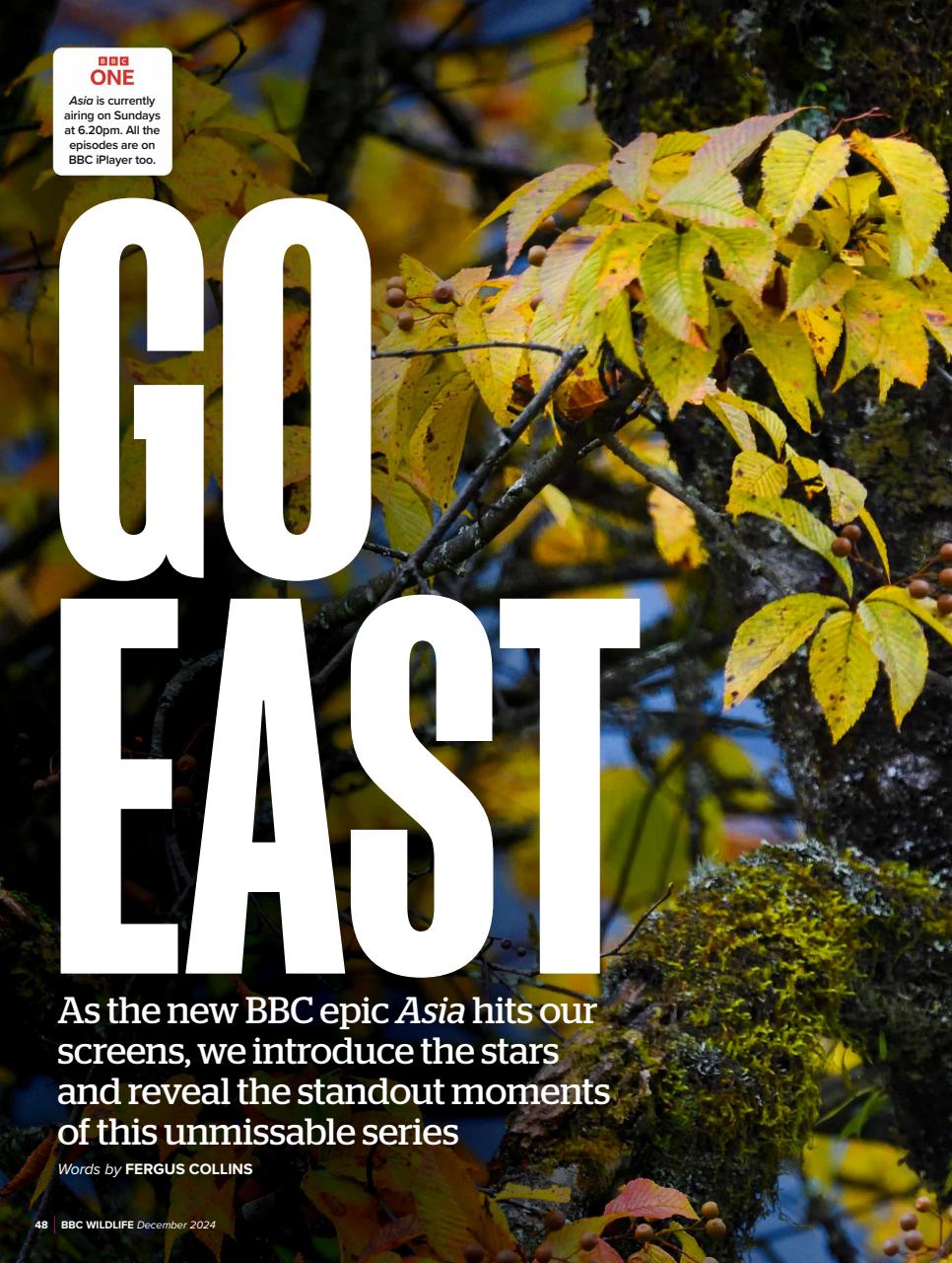 BBC Wildlife Magazine Preview Pages