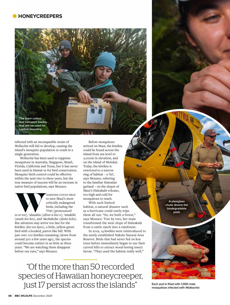 BBC Wildlife Magazine Preview Pages