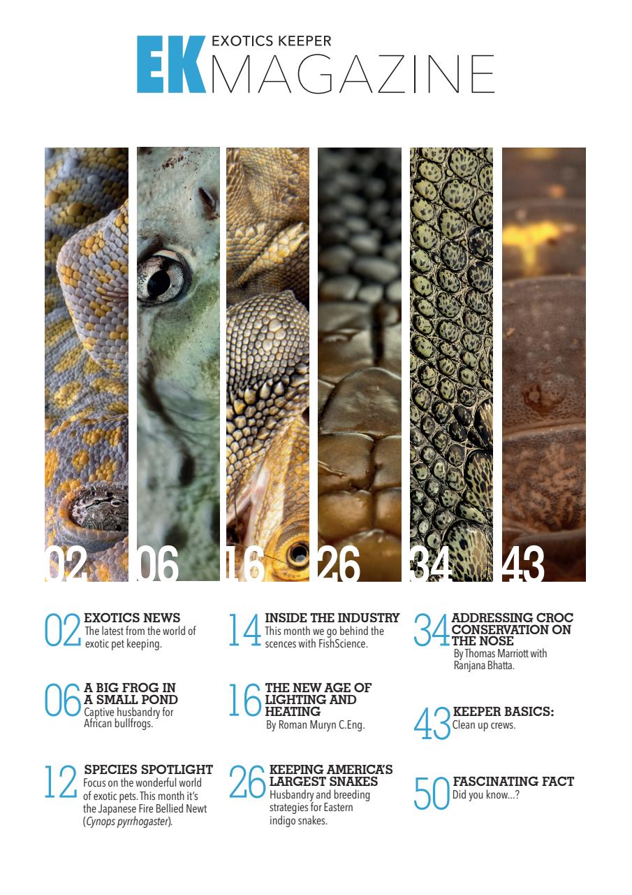 Exotics Keeper Preview Pages