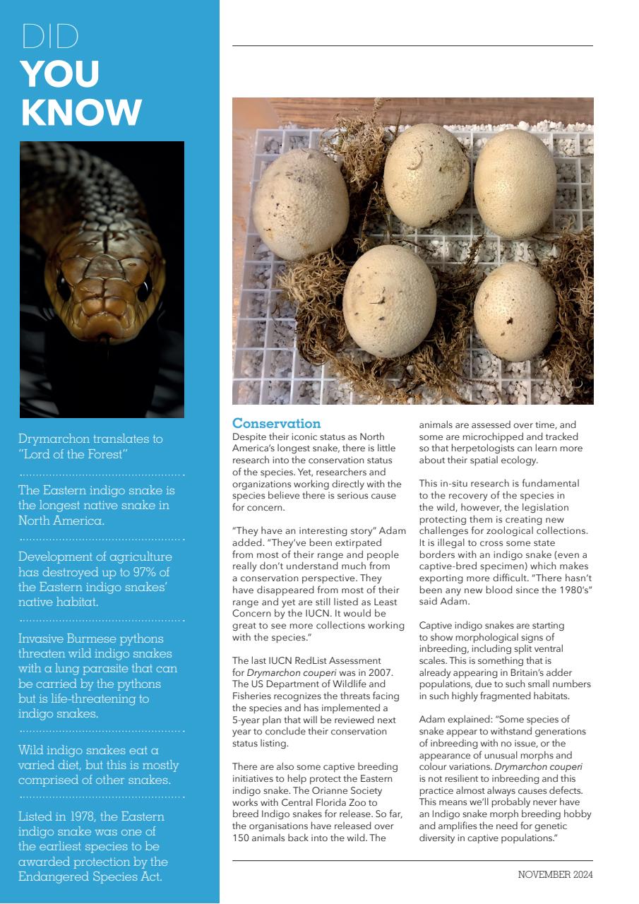 Exotics Keeper Preview Pages