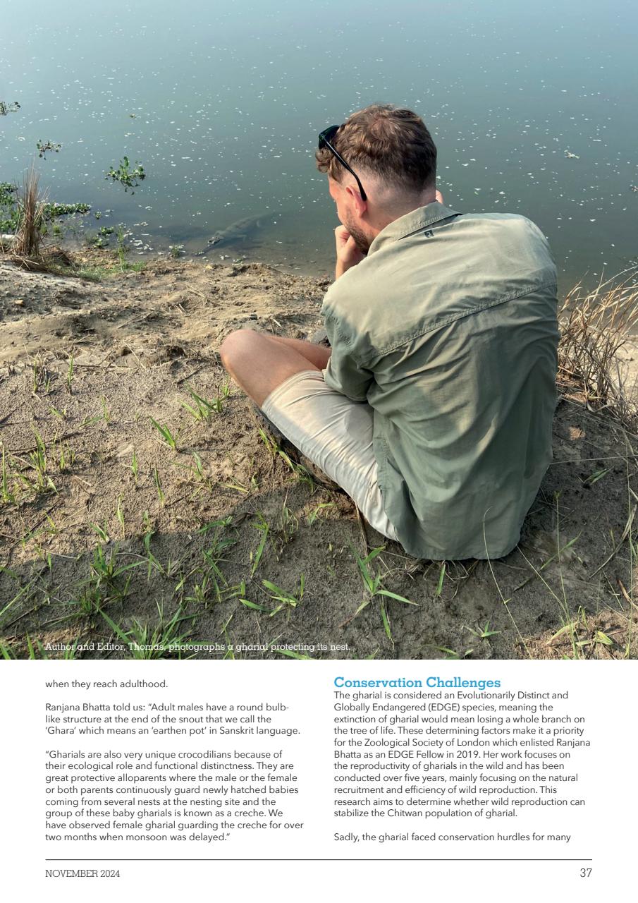 Exotics Keeper Preview Pages