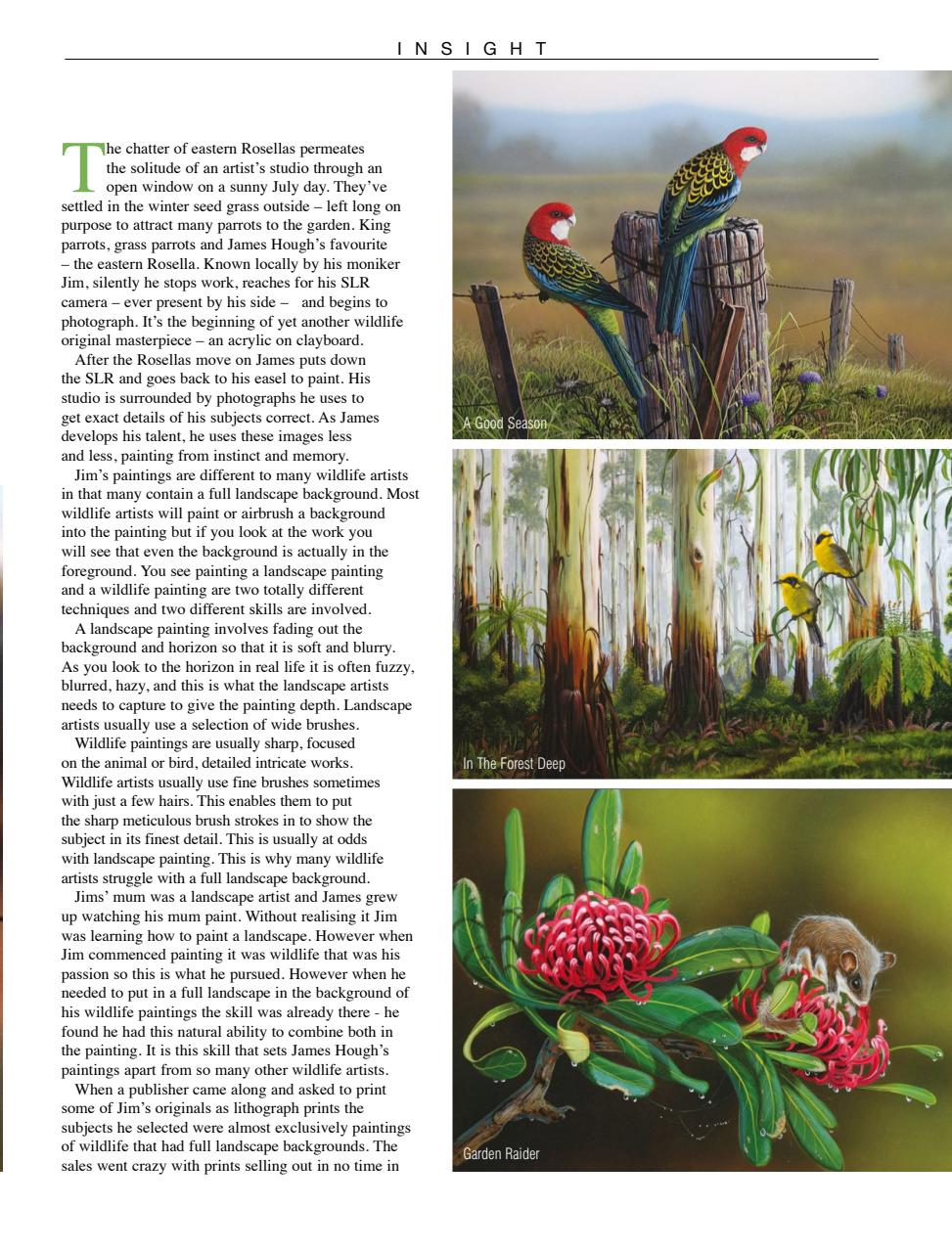 Artist's Palette Preview Pages