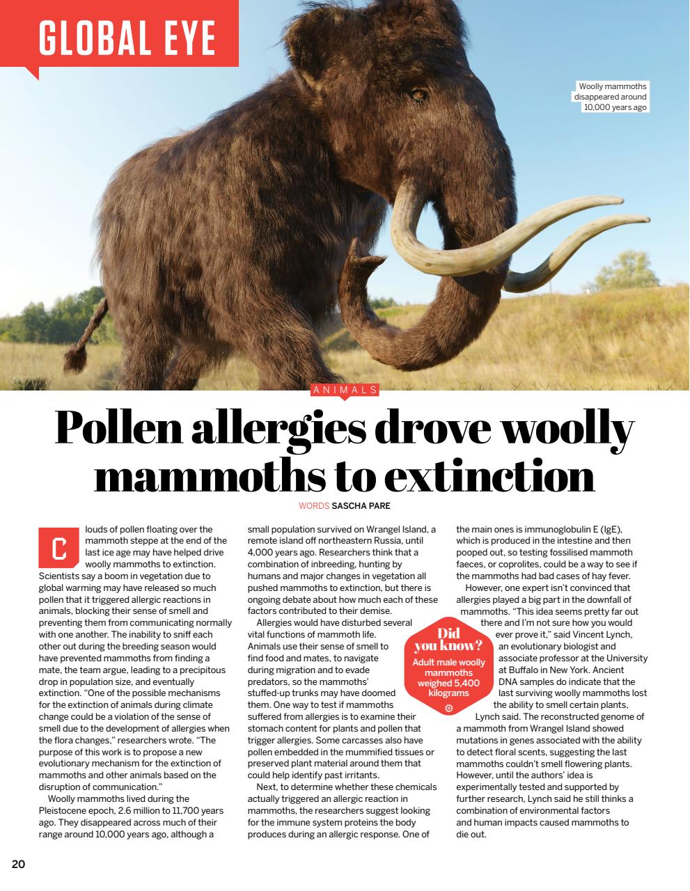 How It Works Preview Pages