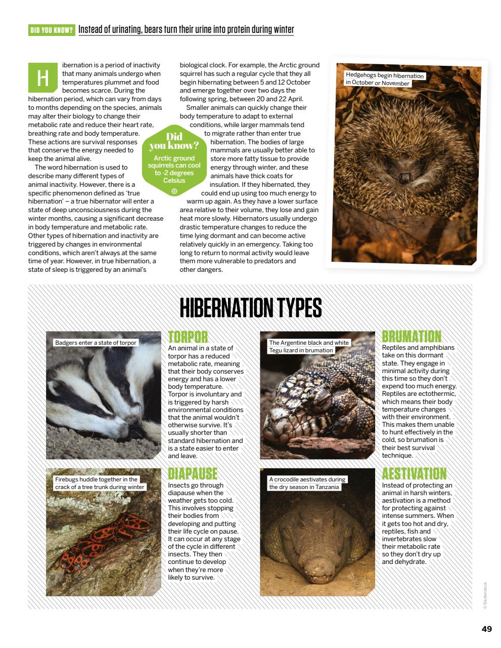 How It Works Preview Pages