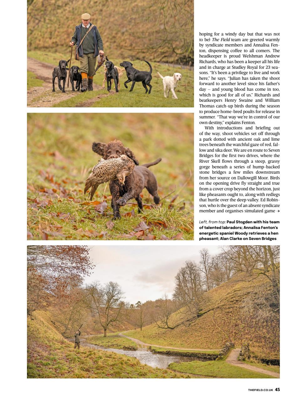 The Field Preview Pages